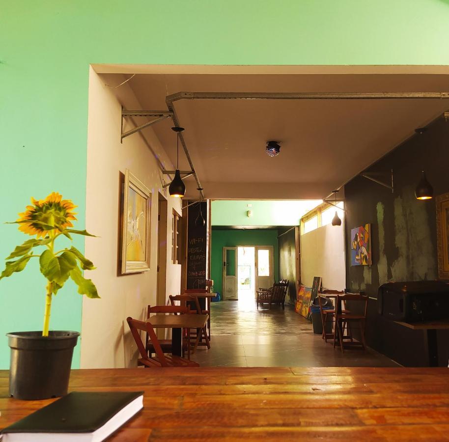 Hostel Dunas Do Santinho Флоріанополіс Екстер'єр фото
